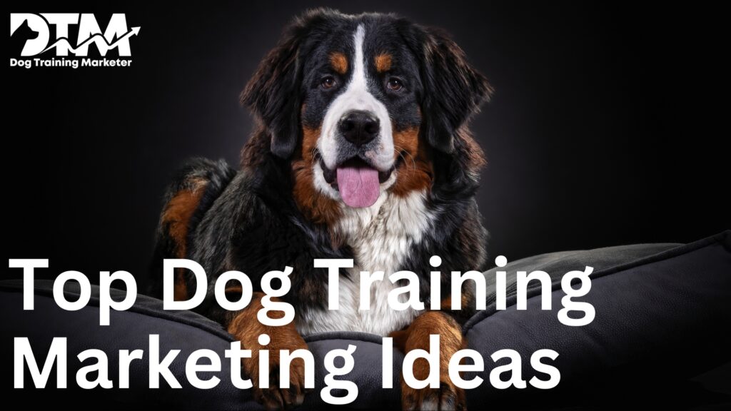 10 Dog Training Marketing Ideas To Get You More Clients