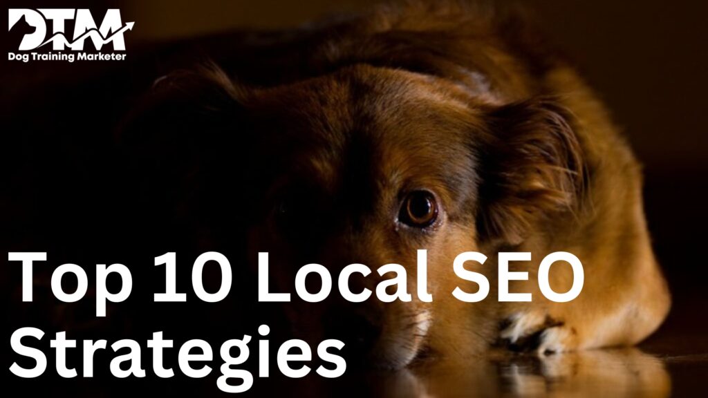 Top 10 Local SEO Strategies for Dog Training Businesses
