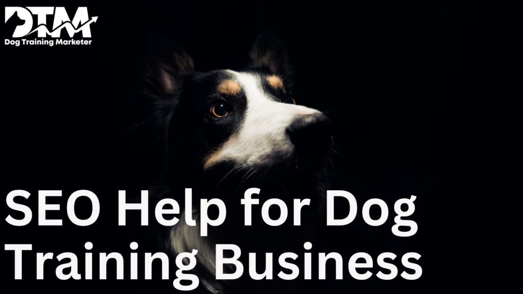 A Guide to Explain How SEO Help for Dog Training Business?