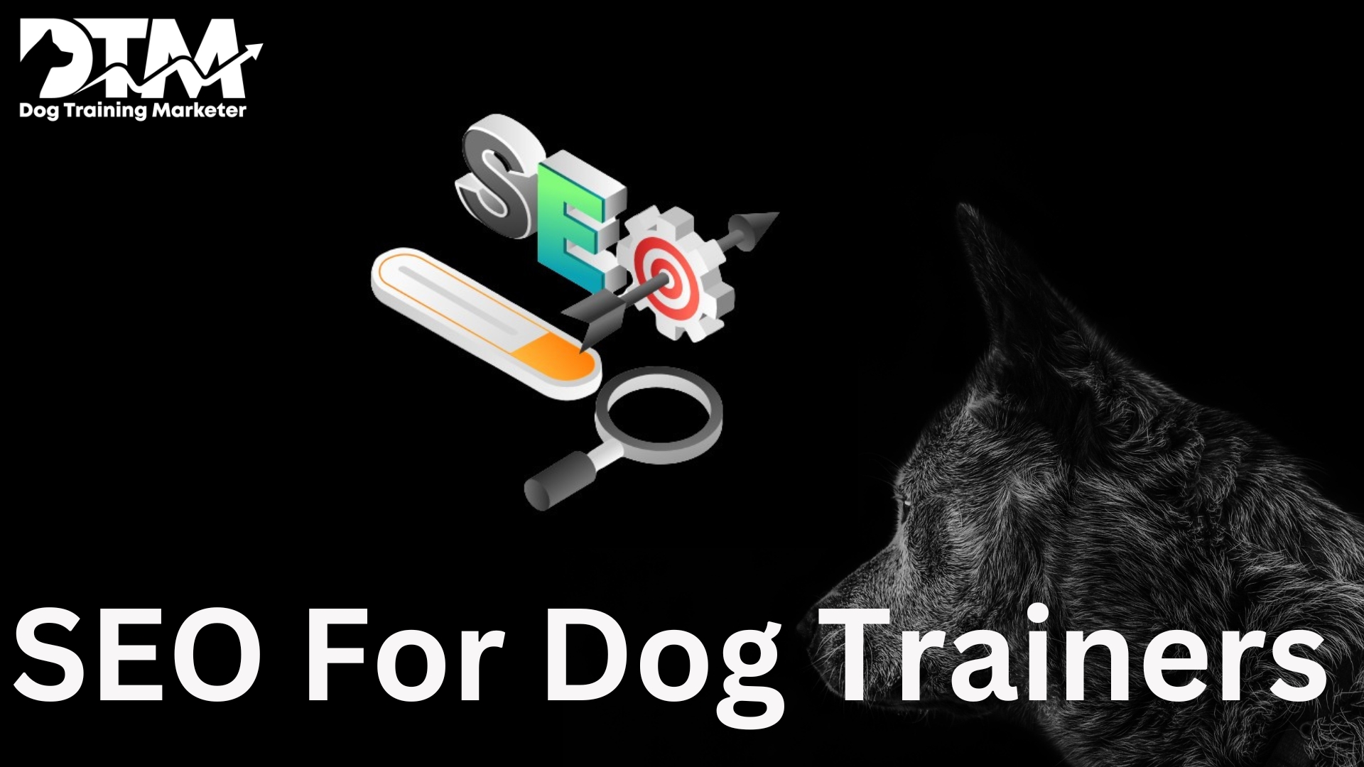 SEO help for dog trainers