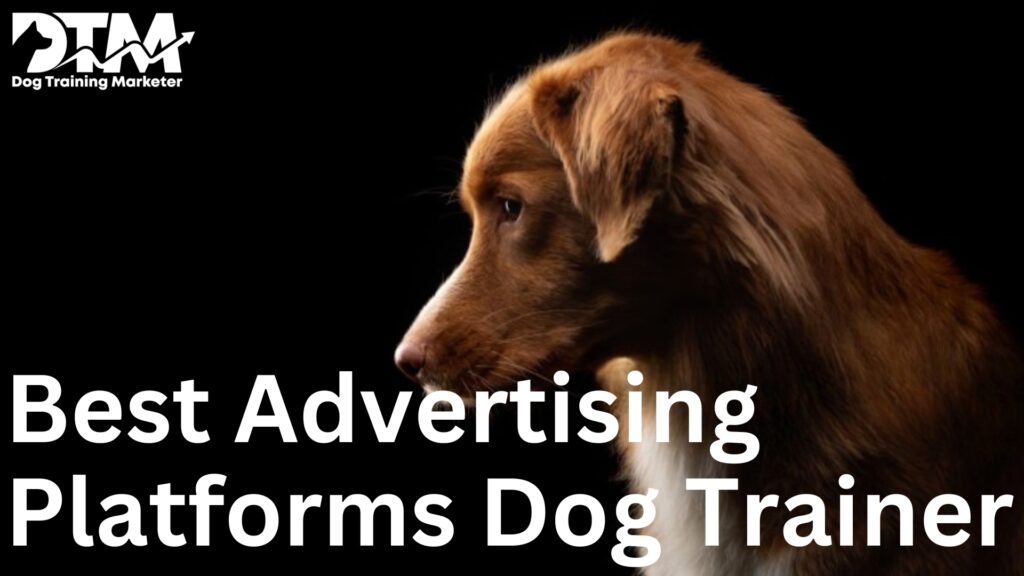 Best Online Advertising Platforms for Dog Trainers