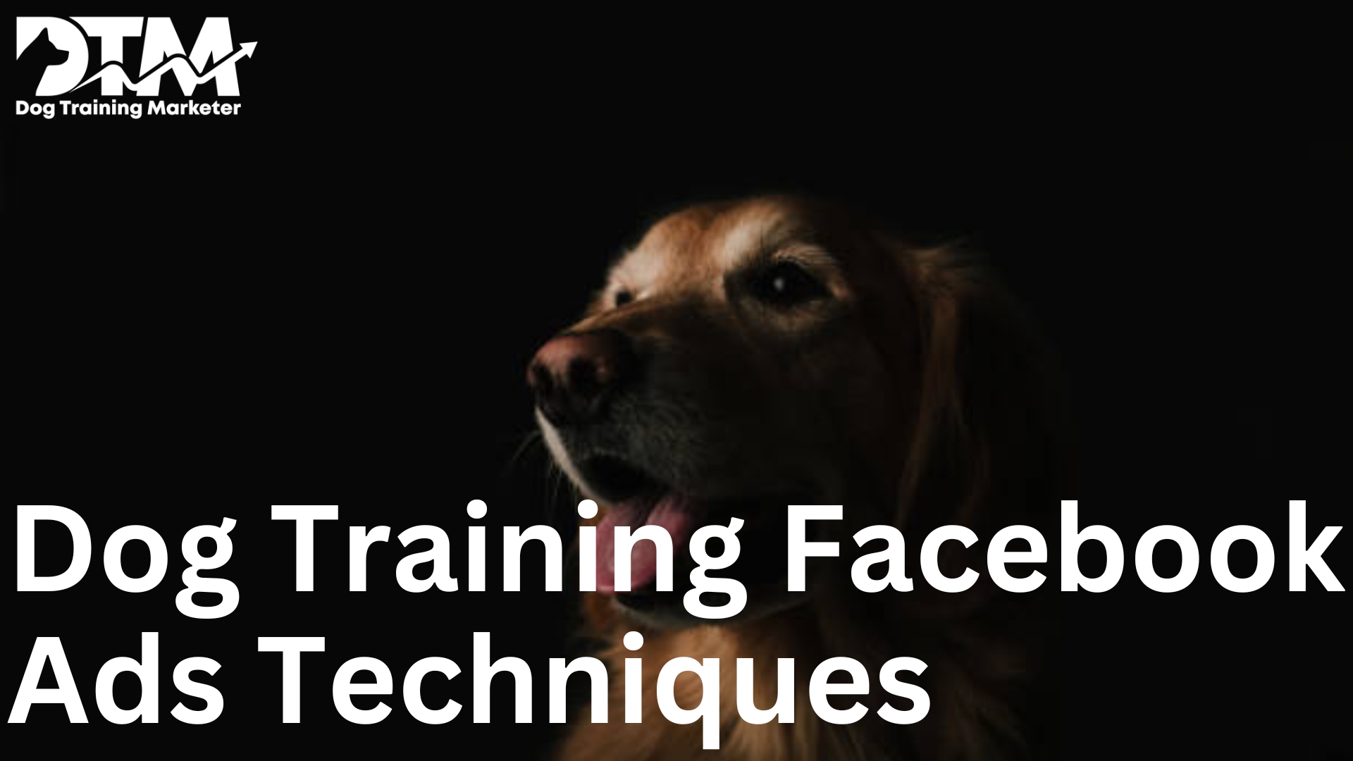 Dog Training Facebook Ads Techniques - Target Dog Parents on Facebook