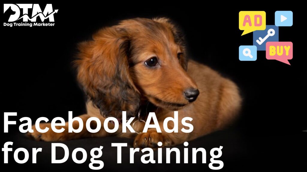 Facebook Ads for Dog Training – Setup Your Business With Effective Strategy