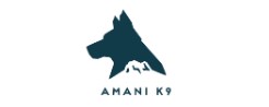 Amink9 logo