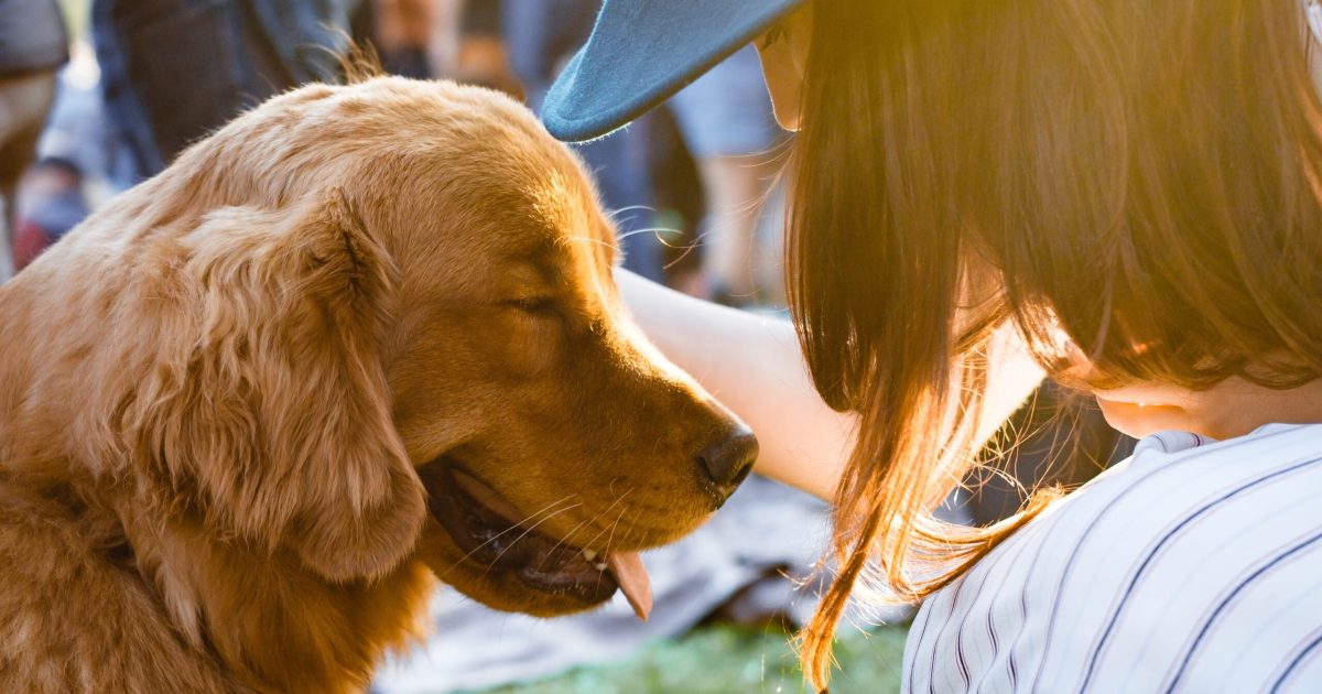 Effective advertising techniques for dog training services