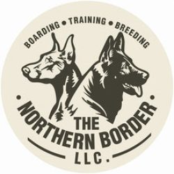 The Northern Border logo